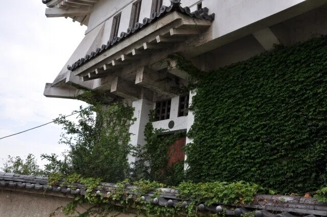 画像33