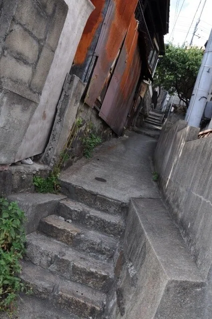 画像24