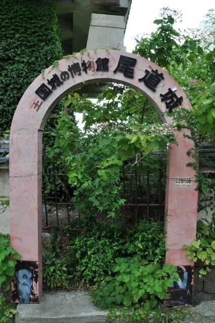 画像31