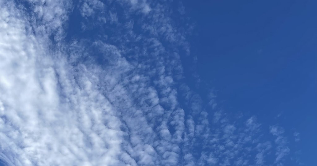 村本大志               村本大志