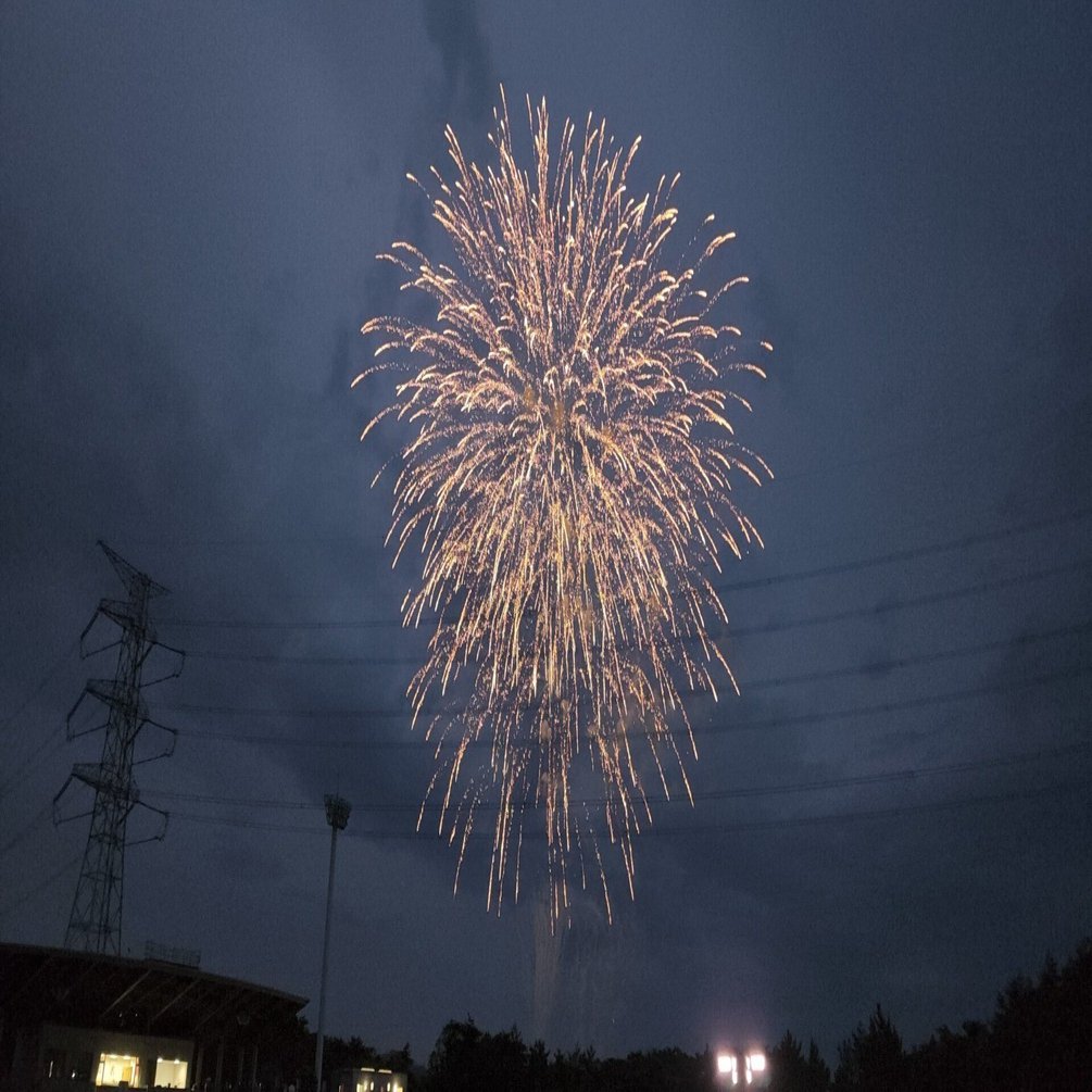 浜を照らす大輪の花火 ポンコツ Note