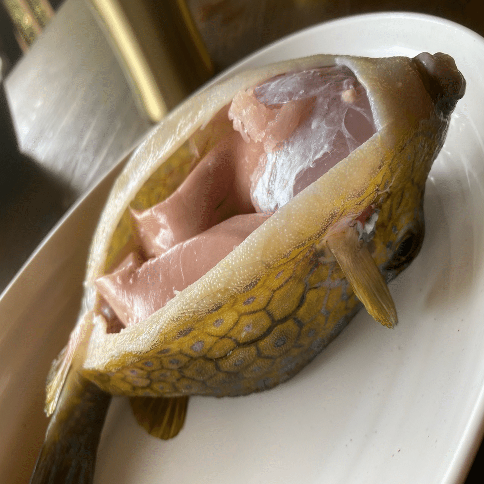 はこふぐを食べる かっとっぽ Shinmr Note