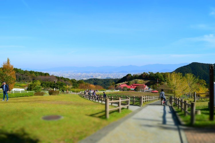 天高く馬肥ゆる秋に君と行く 街を見下ろす空気を吸いに