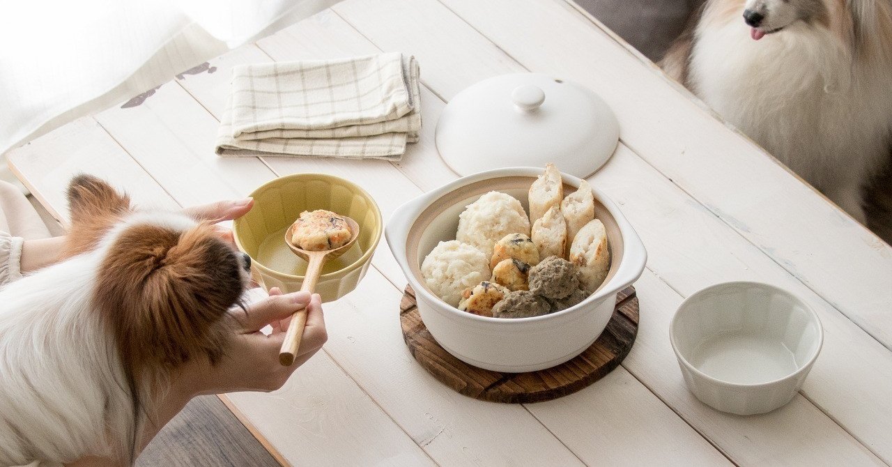 犬用おでん 蒸し器で作る もこもこはんぺん 手作り犬おやつレシピ いちかわあやこ 犬ごはん先生 Note