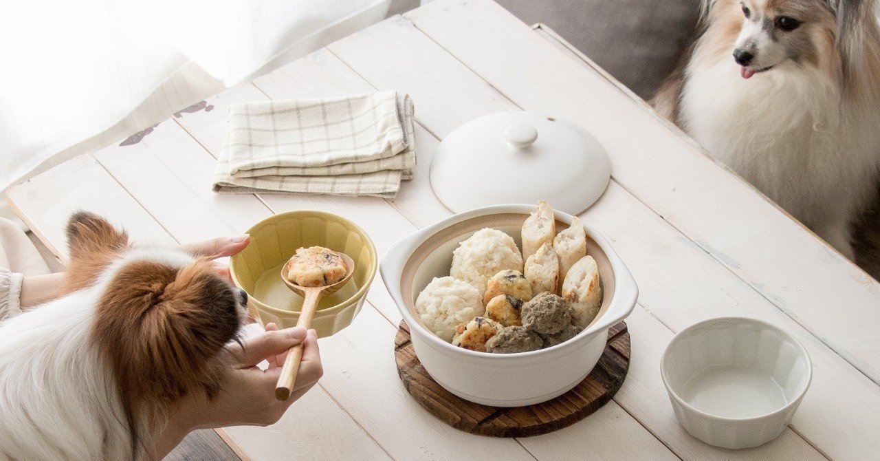 犬用おでん オーブンで作る タラのちくわ 手作り犬おやつレシピ 単品購入 いちかわあやこ 犬ごはん先生 Note 犬用おでん オーブンで作る タラのちくわ 手作り犬おやつレシピ 単品購入 いちかわあやこ 犬ごはん先生 Note