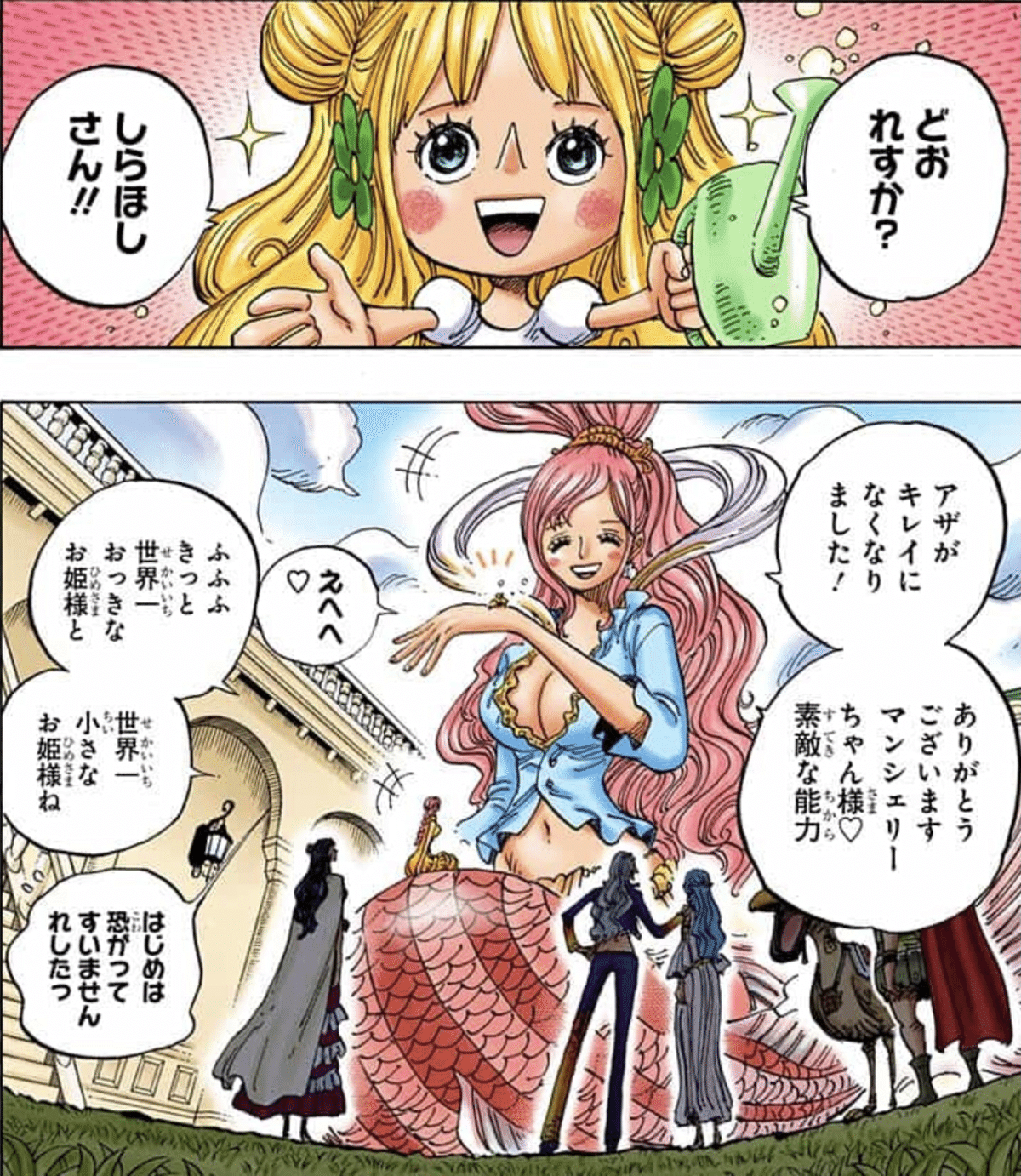 ウミ様 ONE PIECE】イム様はパラミシア【フィガーランド家】｜エンブン