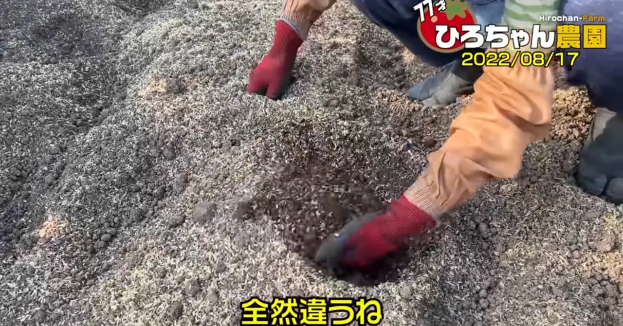 【土づくり】籾殻と籾殻燻炭を使った土作りをご紹介｜井上寅雄農園 / 井上隆太朗