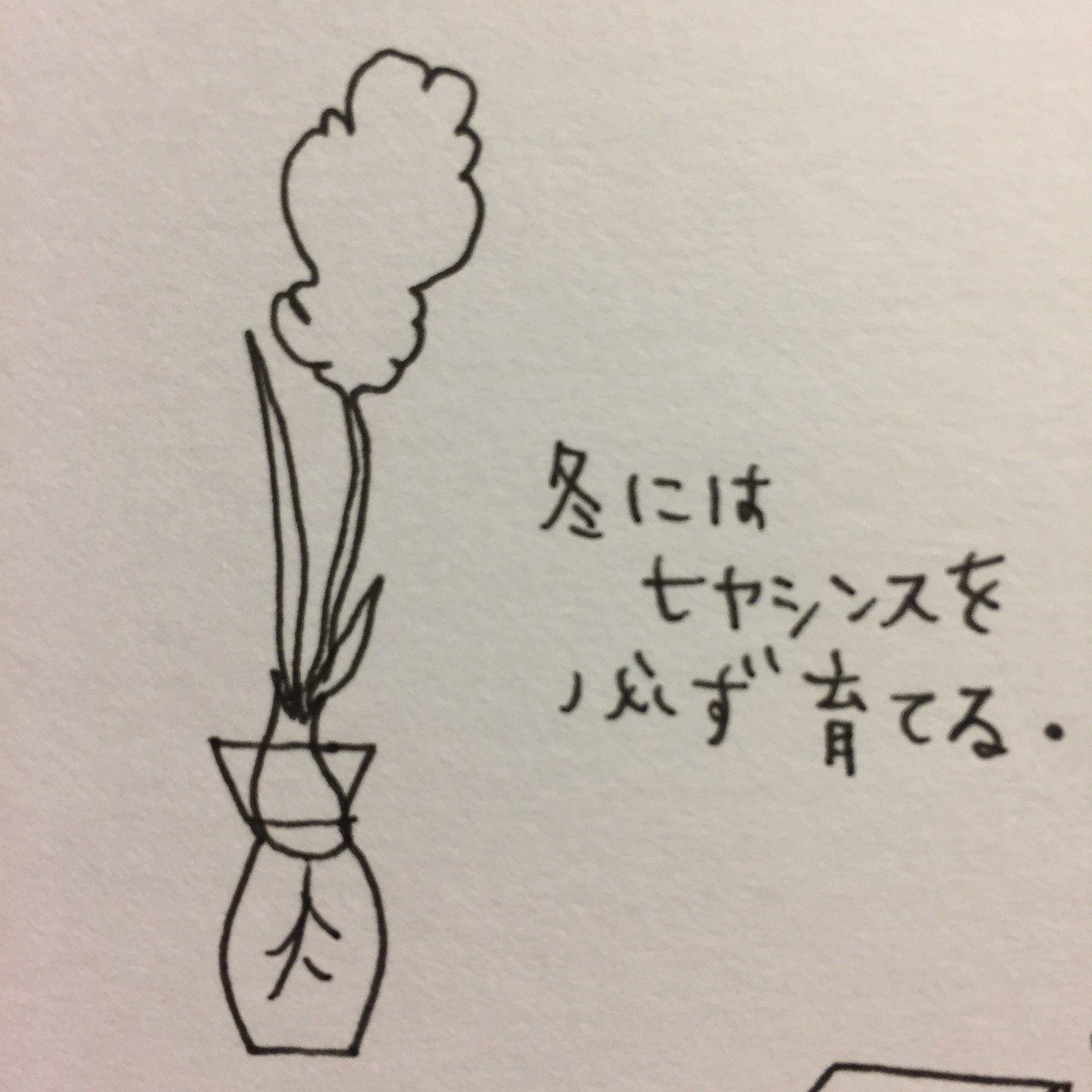 一年前に立てた誓い 今年もそろそろ動き出す時が来ました ヒヤシンス イラスト 絵日記 冬支度 スミレ 奈良好き Note 一年前に立てた誓い 今年もそろそろ動き出す時が来ました ヒヤシンス イラスト 絵日記 冬支度 スミレ 奈良好き Note