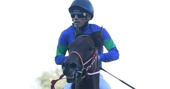 パンサラッサ一本勝負ニキこと®ぐー牧場の先週の競馬を振り返る