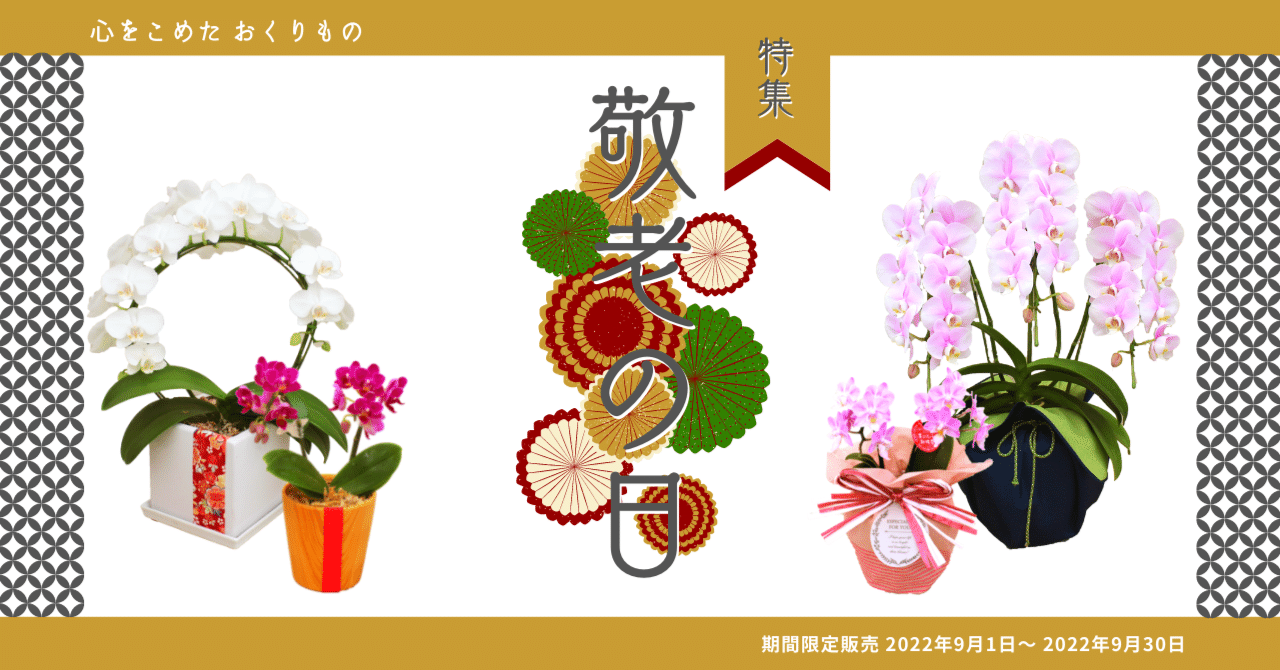 期間限定クーポン 敬老の日商品を発売 胡蝶蘭専門店lian 胡蝶蘭専門店 Lian 松村洋蘭 Note