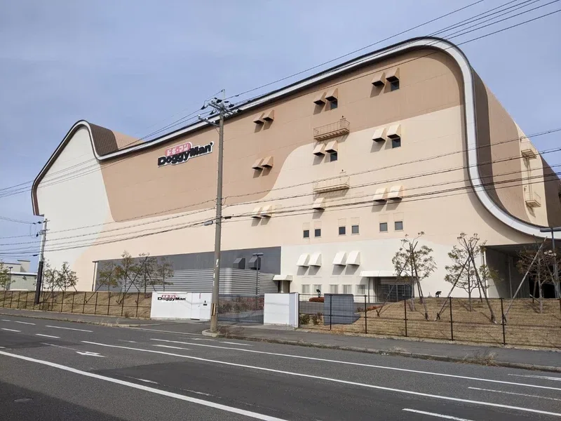 画像8