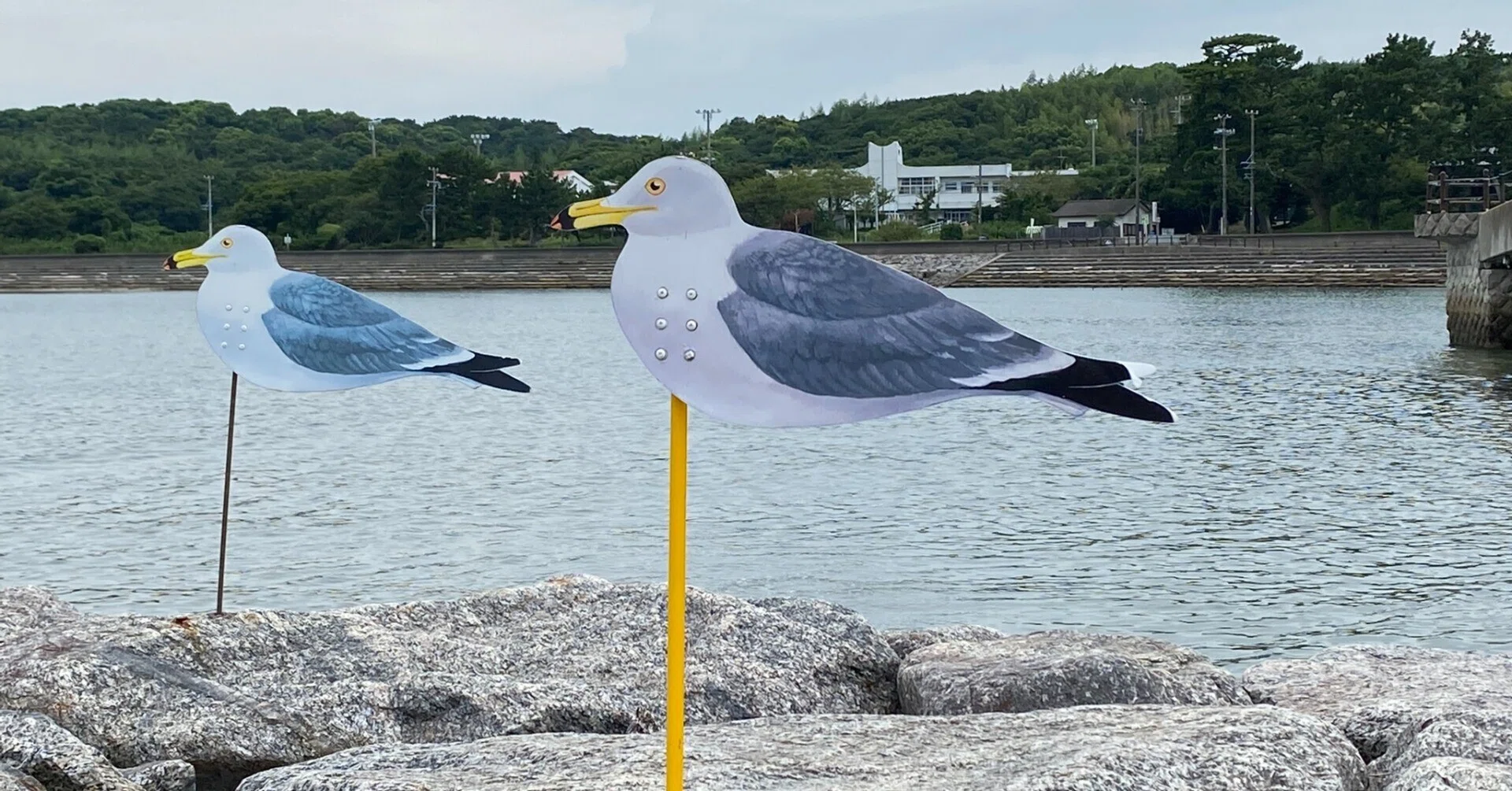122 三河湾に浮かぶ小島でアートピクニック 愛知・佐久島｜揺蕩う旅人