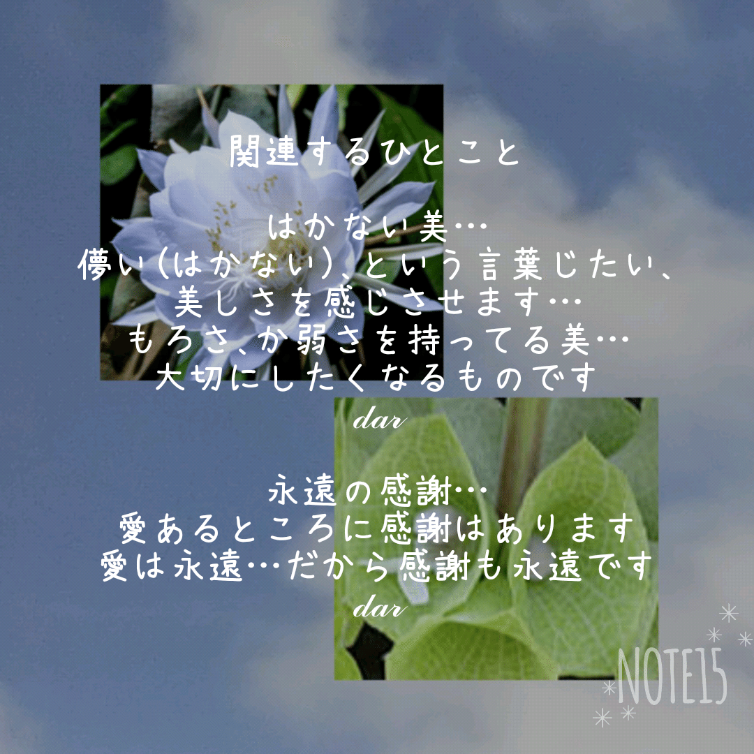 はかない美 の新着タグ記事一覧 Note つくる つながる とどける