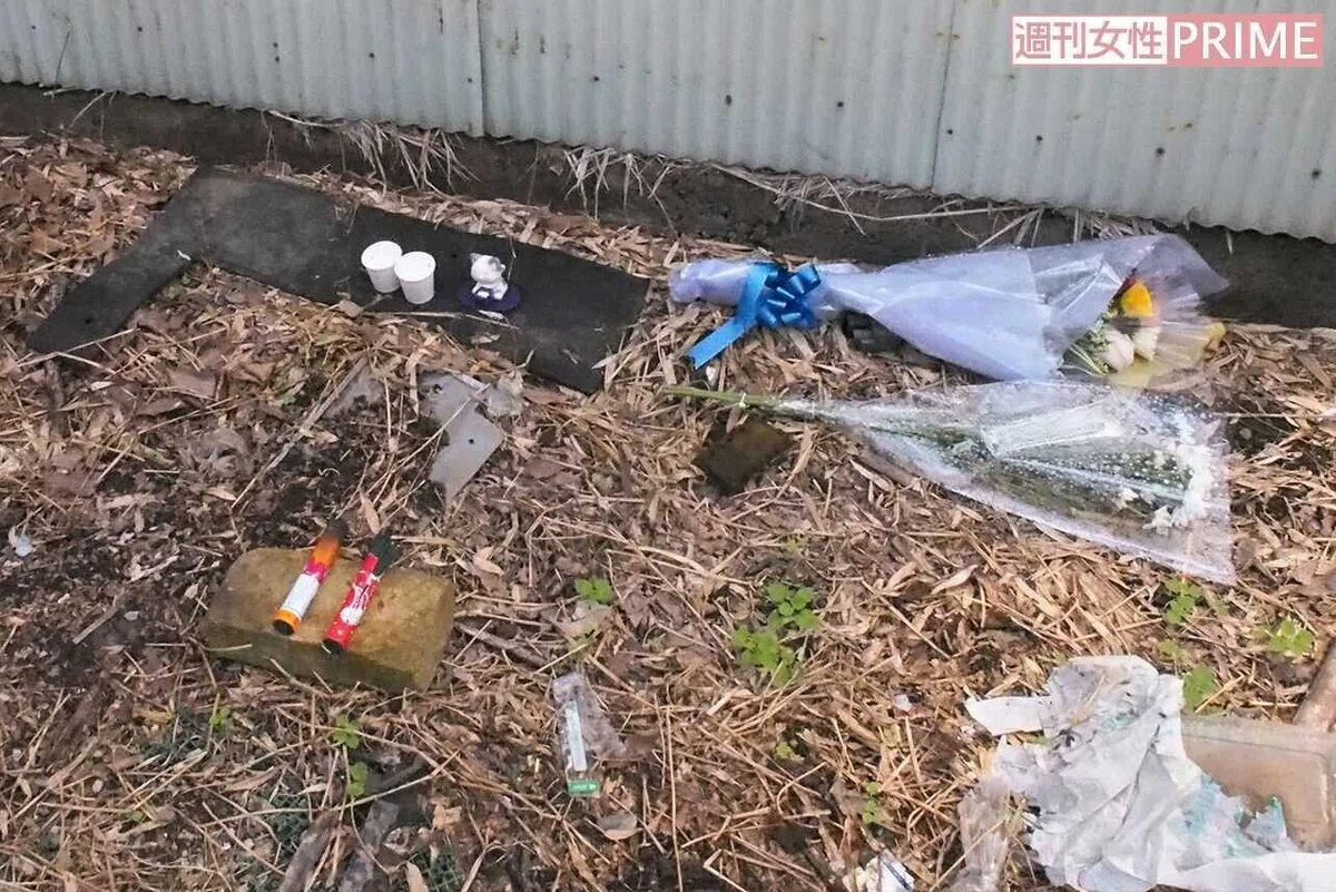 画像12