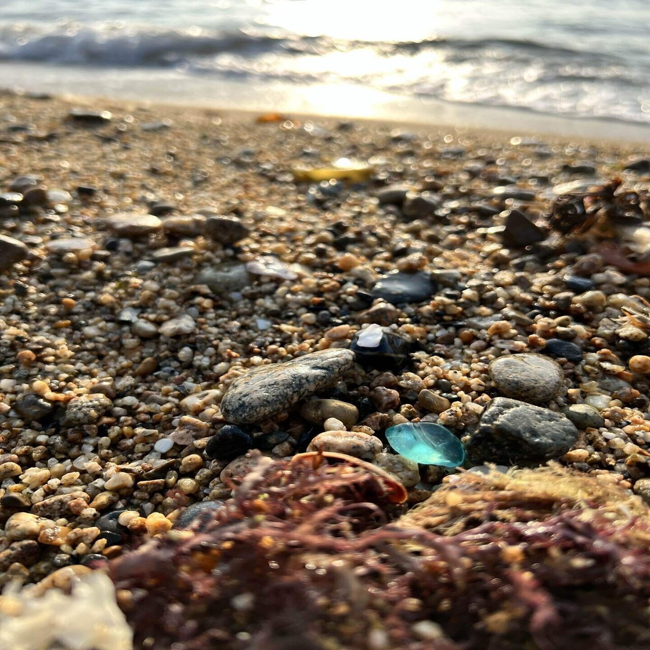 シーグラスとは Flow Ocean Note