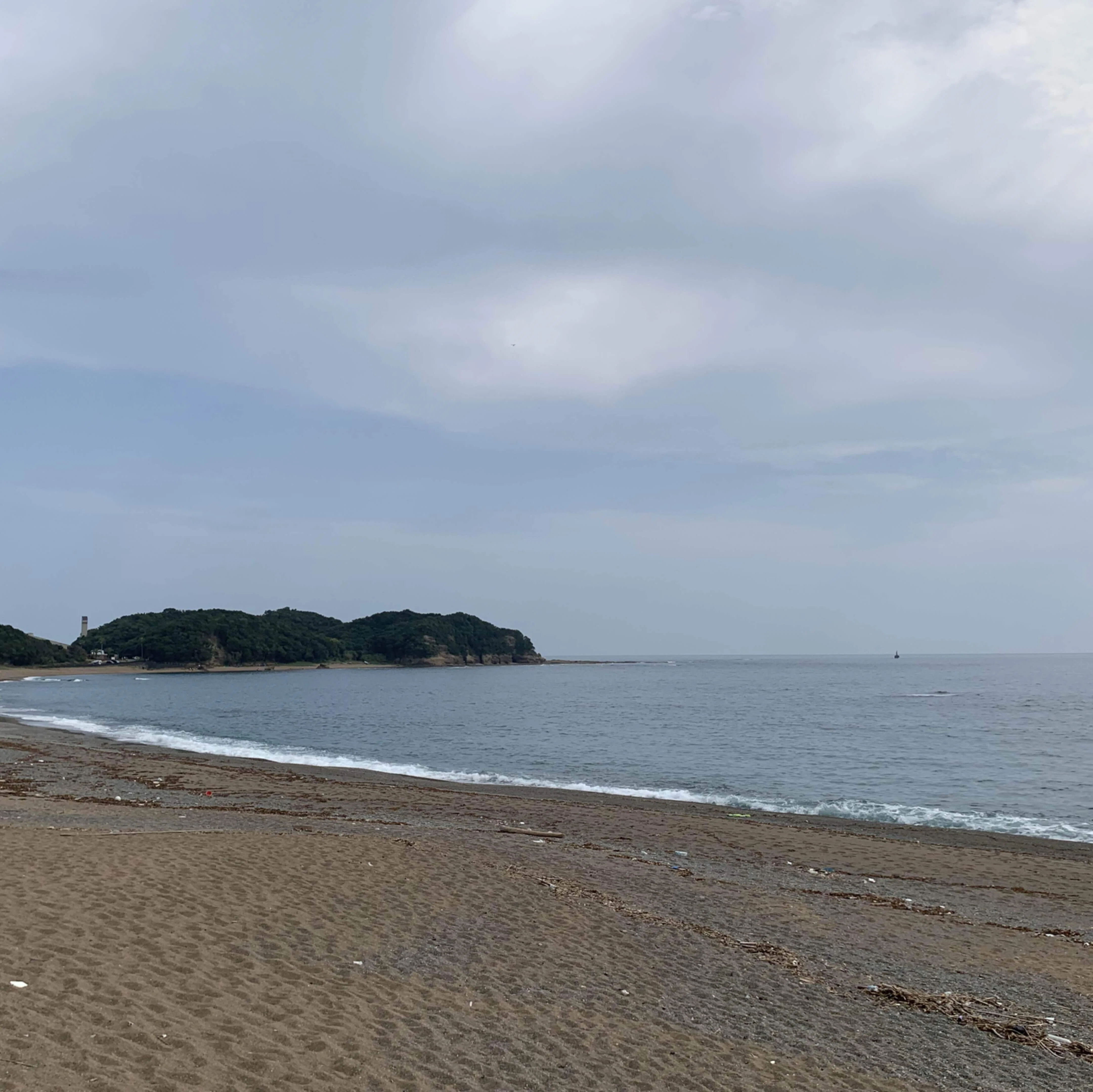 波打ち際の騒めき|いのしん