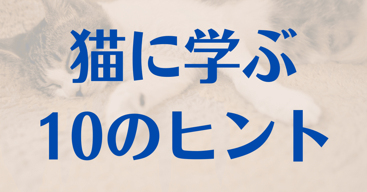 猫に学ぶ生き方のヒント10｜安本琢