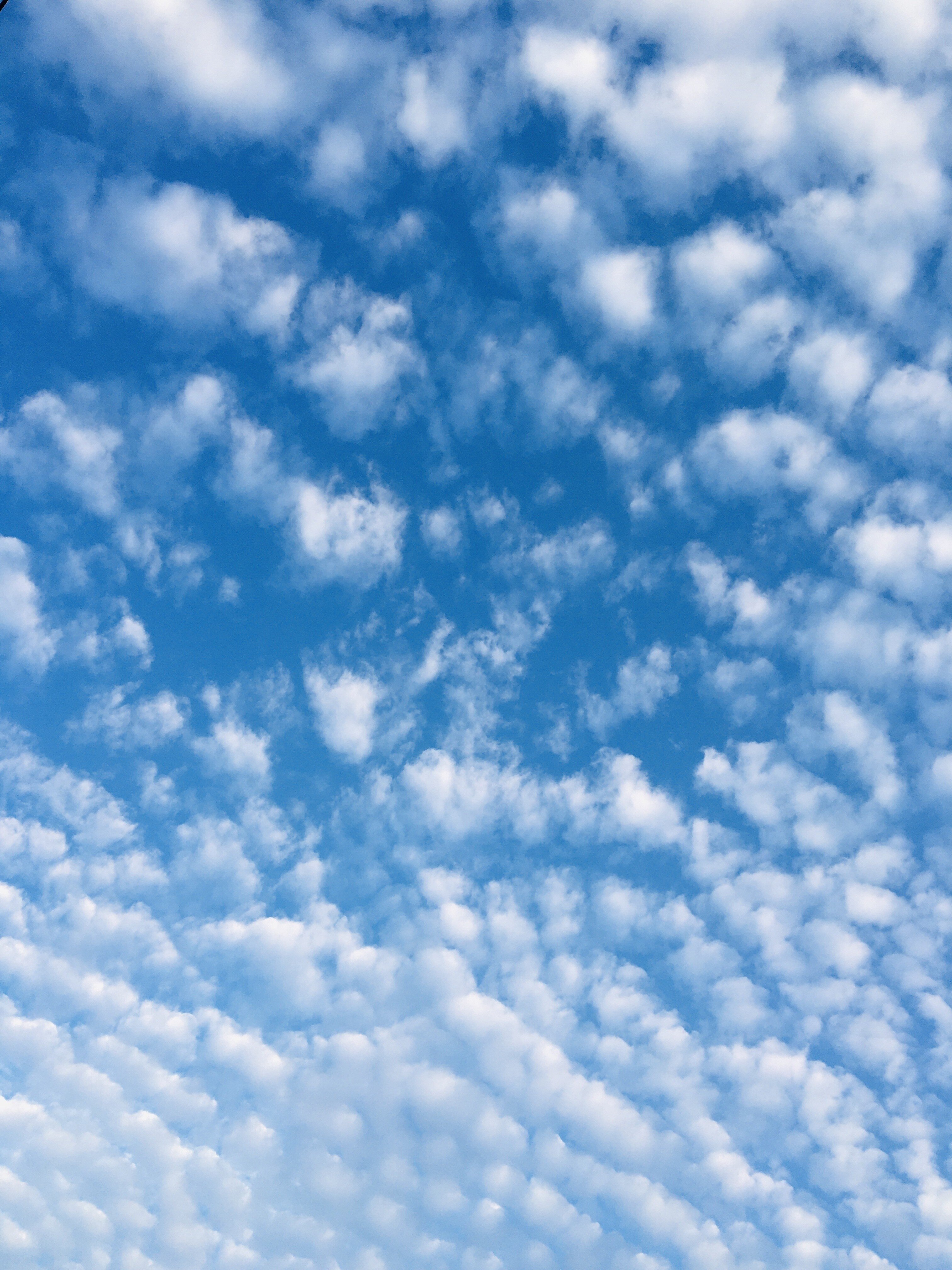 綺麗な空 の新着タグ記事一覧 Note つくる つながる とどける