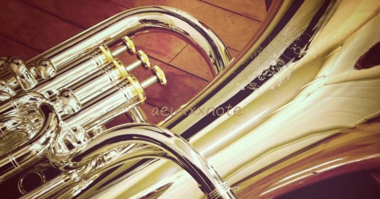 ずぼらユーフォ吹きが恐ろしく久しぶりに楽器を洗ったら中からゴーヤが