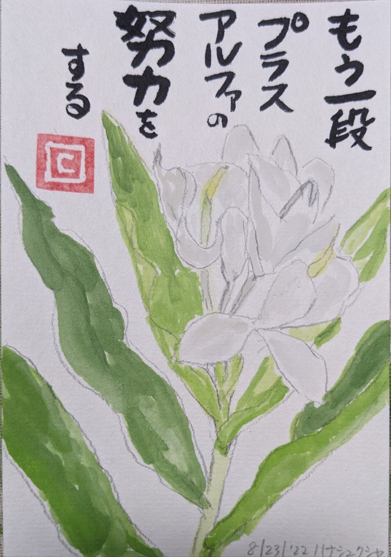 ハナシュクシャさん Cyndi Note