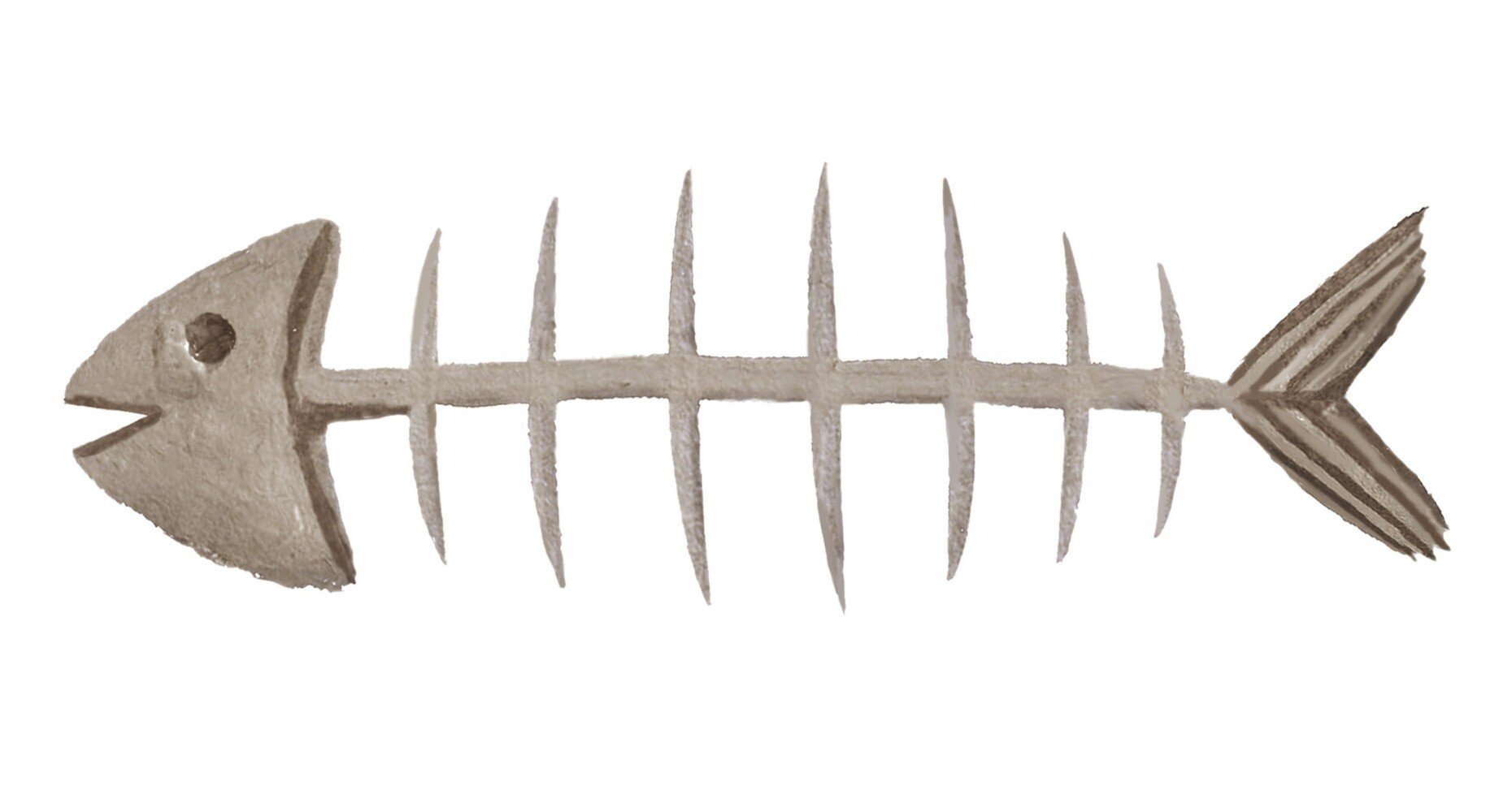 魚の骨が美しい曲線でありますように｜垂直居士