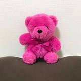 脳科学コーチ★betterbear　※副業はサラリーマン