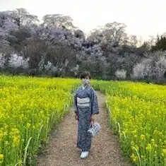 和寿龍