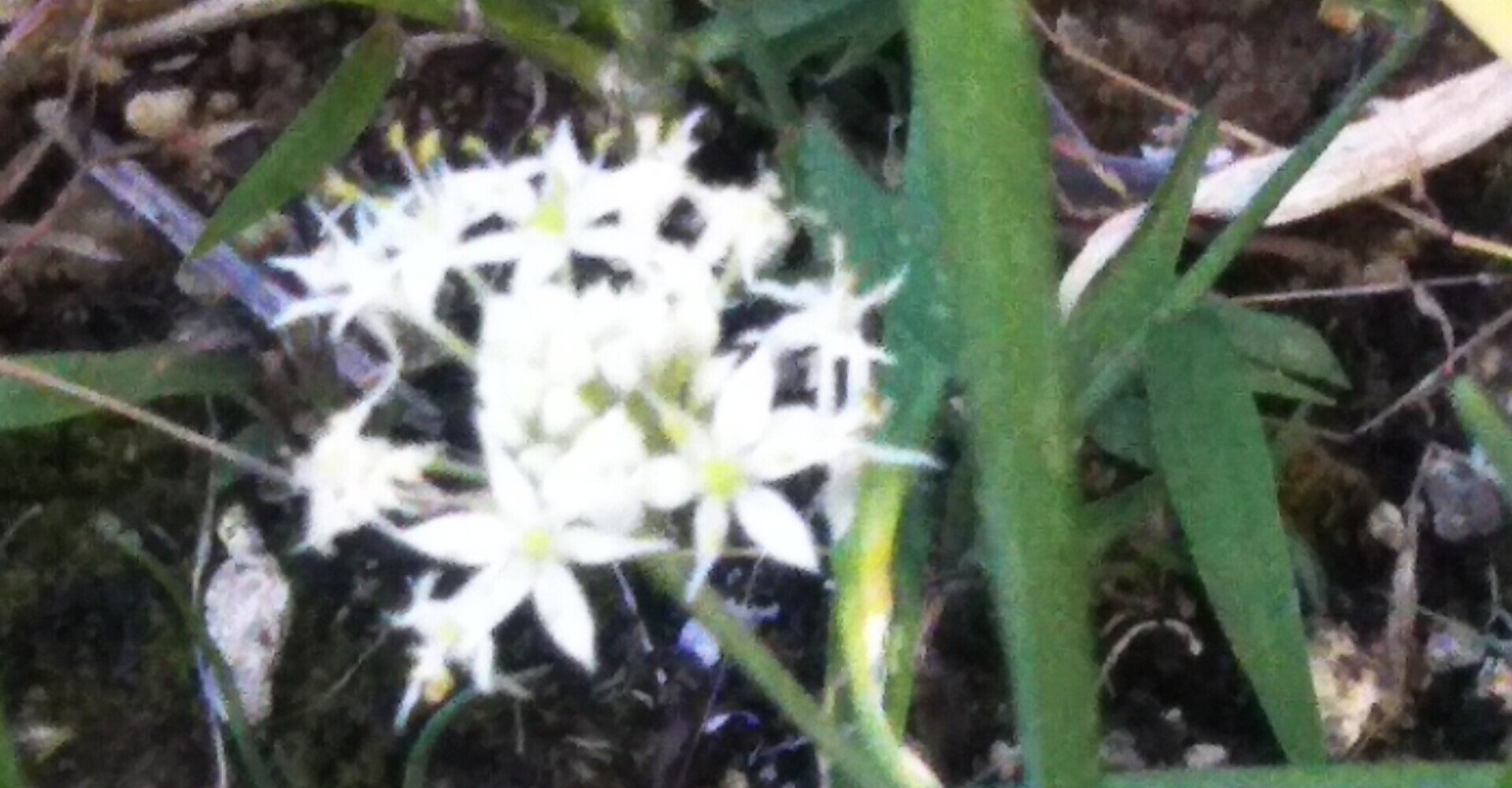 5rd9gw Vo5 Npm 5rd9gw Vo5 Npm