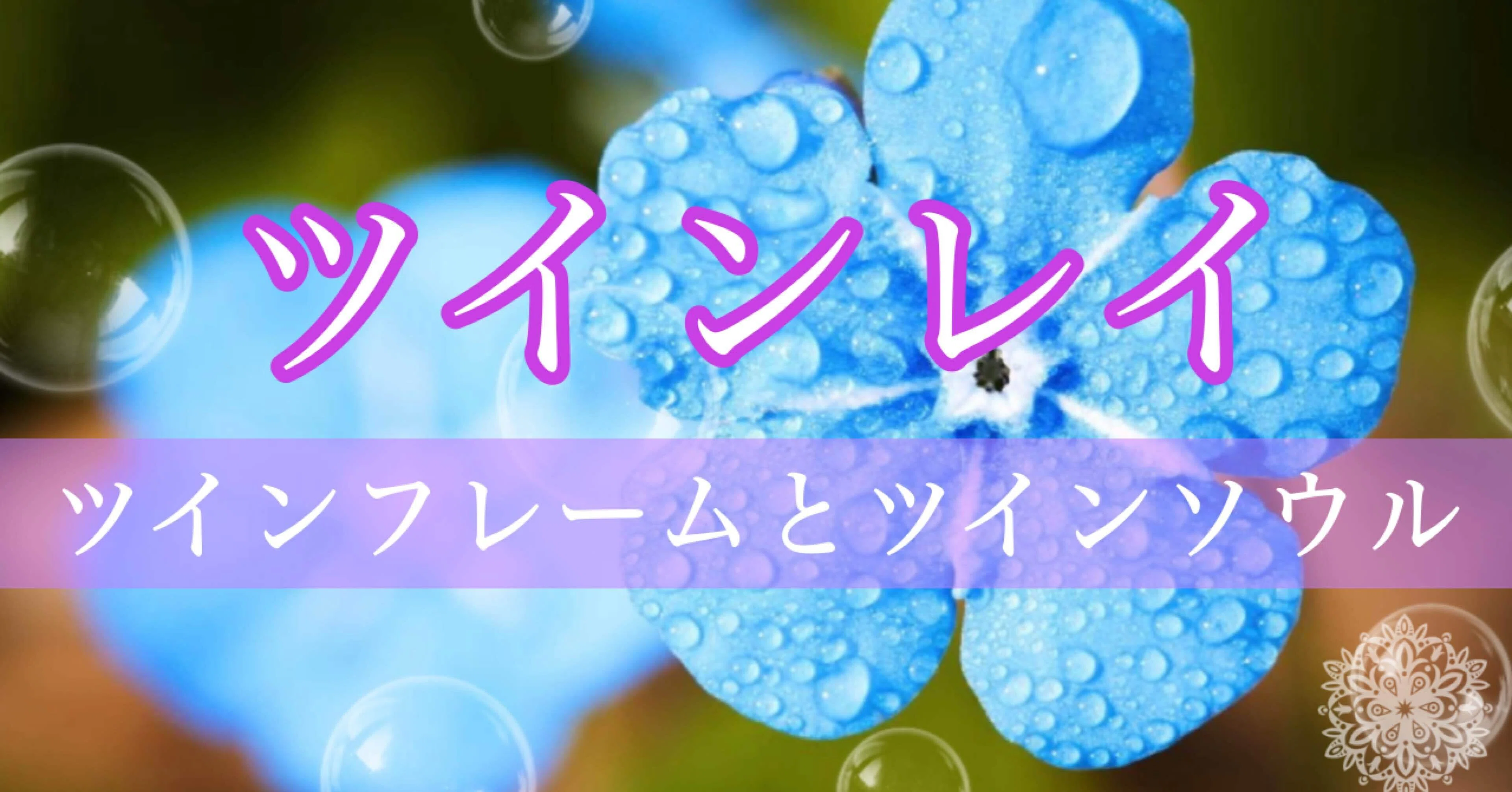 Youtube ツインフレームとツインソウルについて Source ツインレイ Note