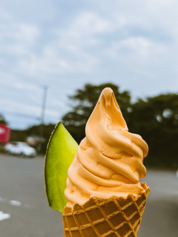 メロンソフトクリーム。メロンの味がしっかりして、かなり美味しい。さすが茨城県鉾田市。