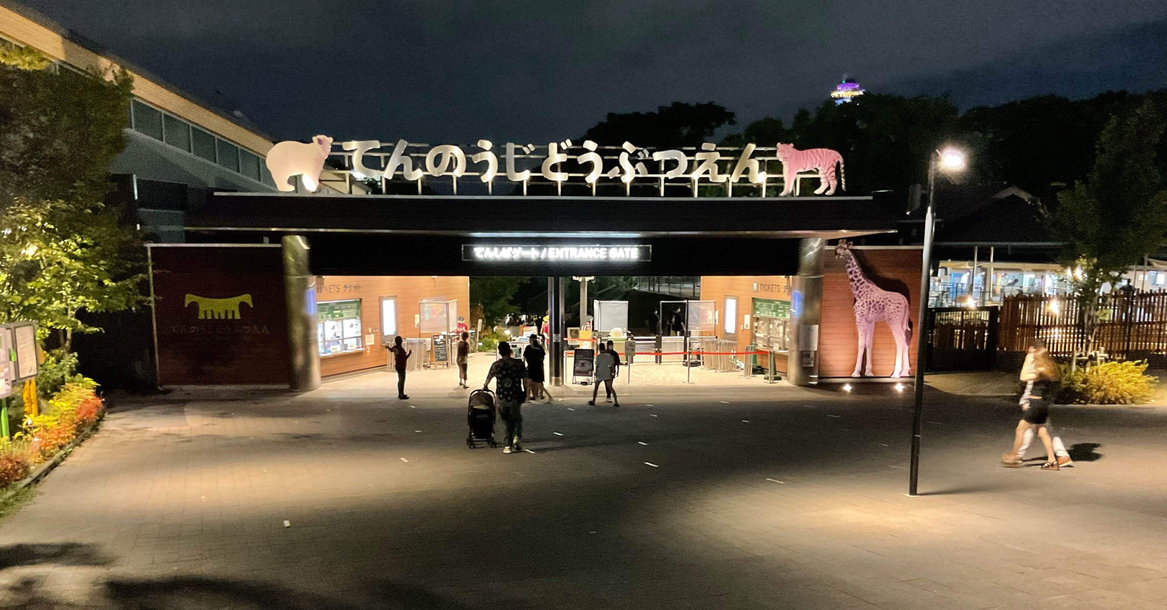 天王寺動物園 ナイトzoo のプールに飛び込むオカン だっぷんする間に読む駄文 河本達彦 Note