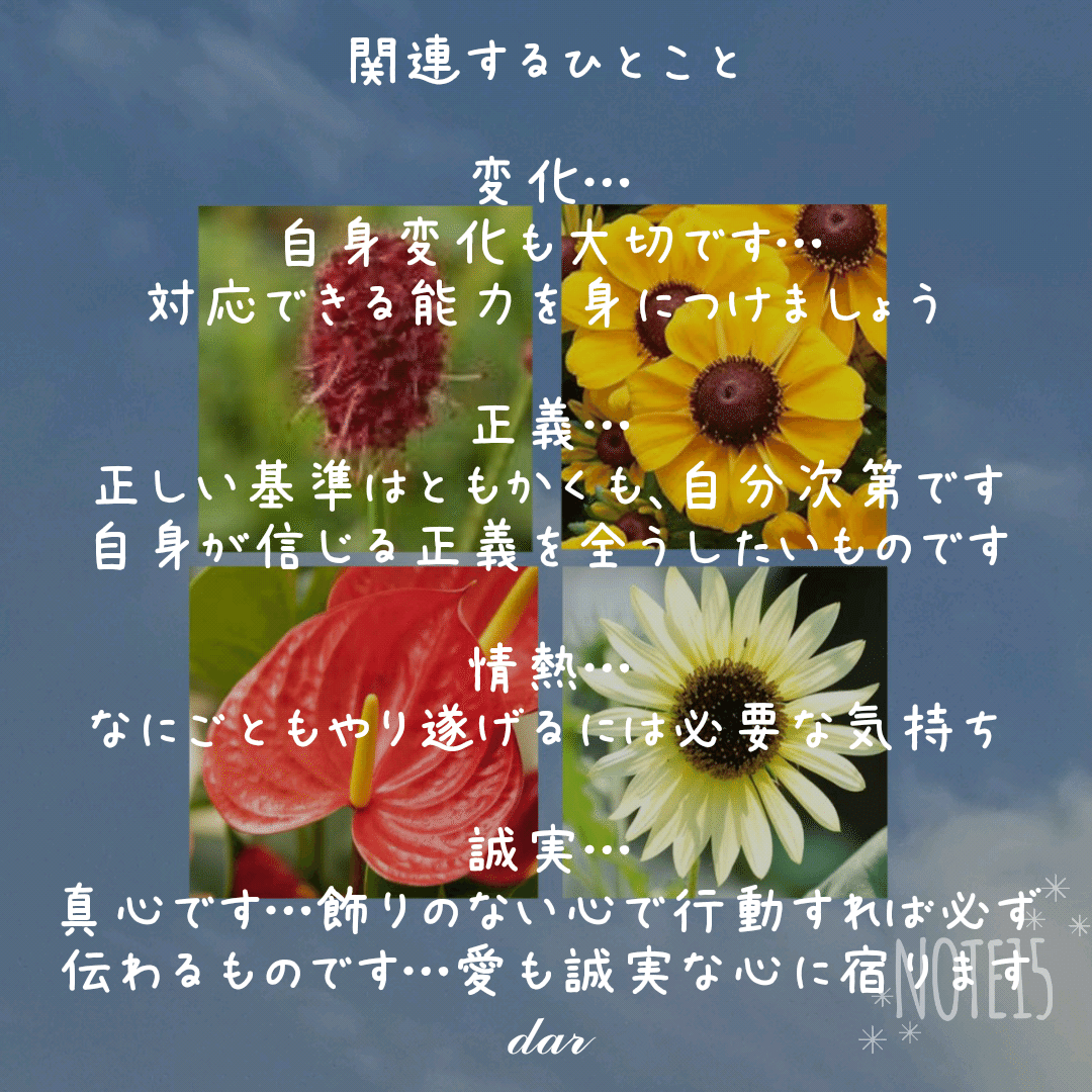 今日の花たち 8 25 花言葉 ワレモコウ 変化 もの思い 愛慕 ルドベキア 正義 公平 あなたを見つめる アンスリウム 情熱 煩悩 恋にもだえる心 ヒマワリ イタリアンホワイト あなたを思い続 だー Note