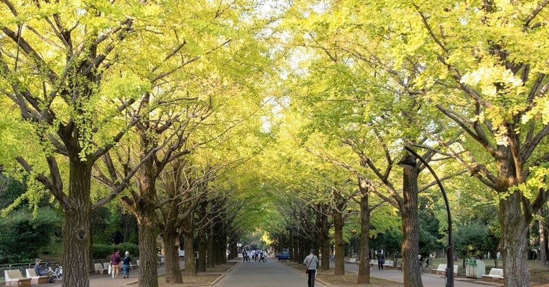 心の中に生き続ける人が あなたを守ってくれている ゆりりん note