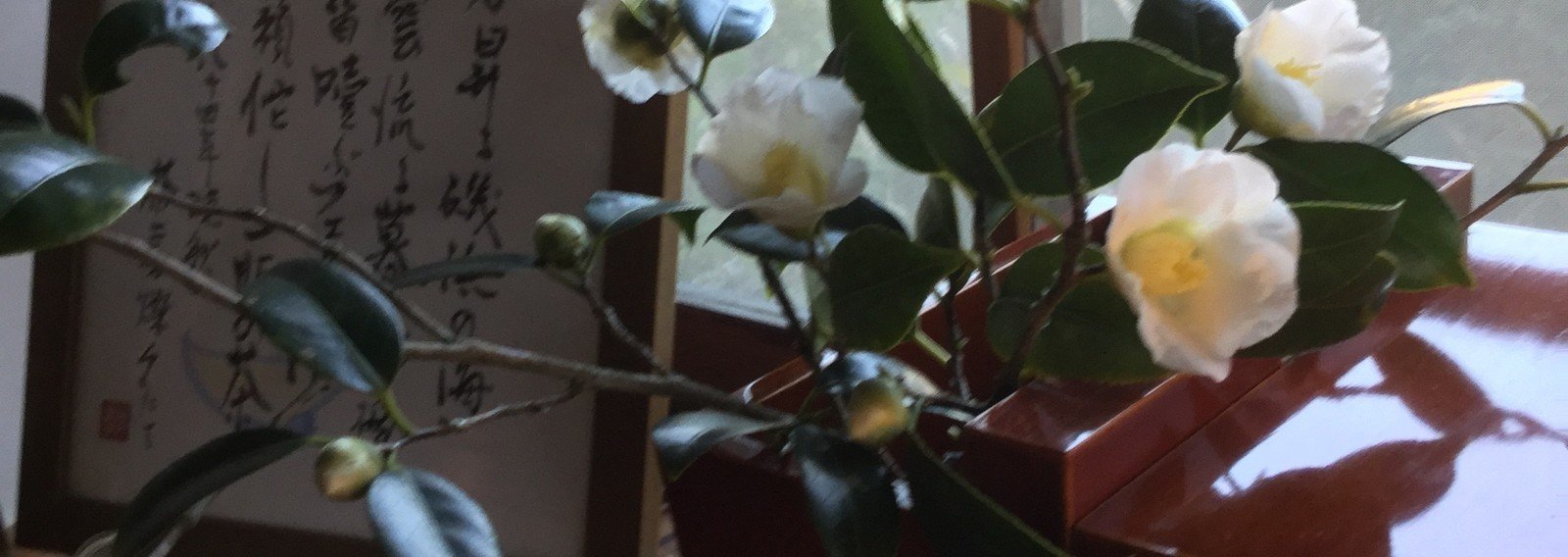 処女小説家 生きる 編 矢御あやせ Note