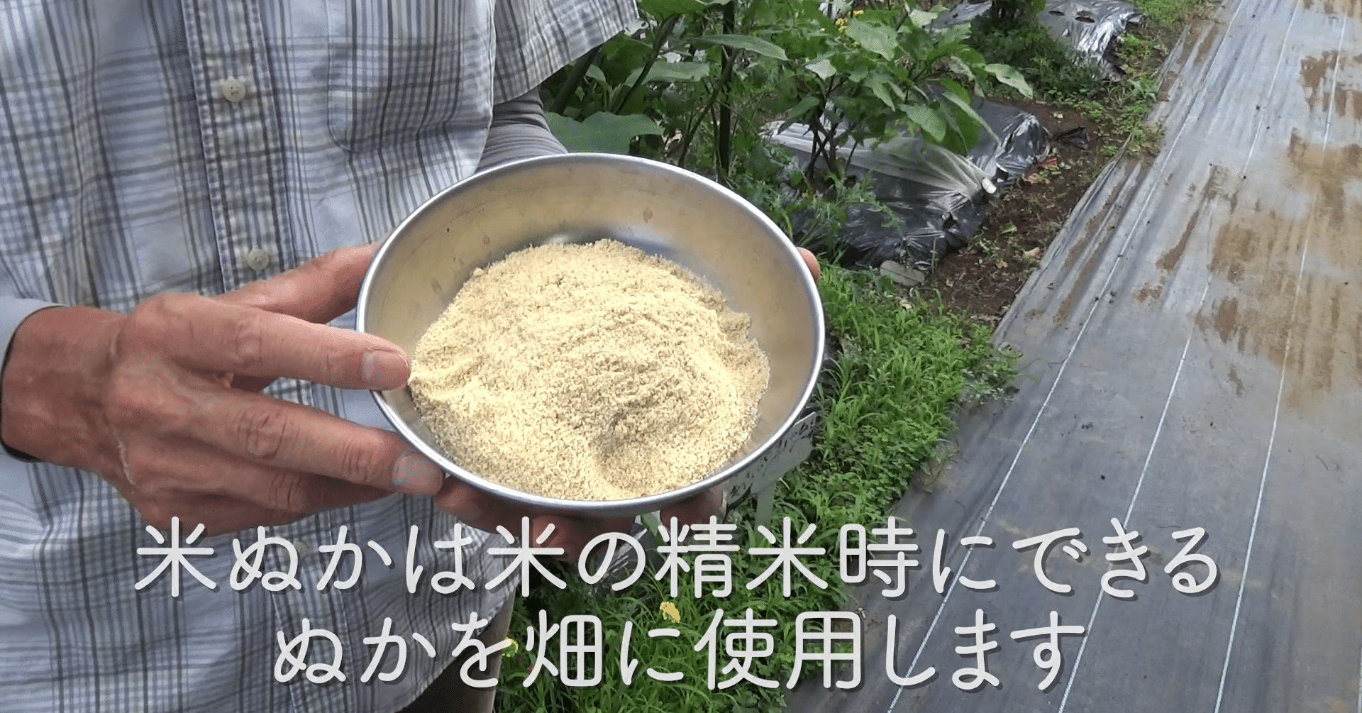 家庭菜園 米ぬかとぼかし肥料の使い方をご紹介 井上寅雄農園 井上隆太朗 Note