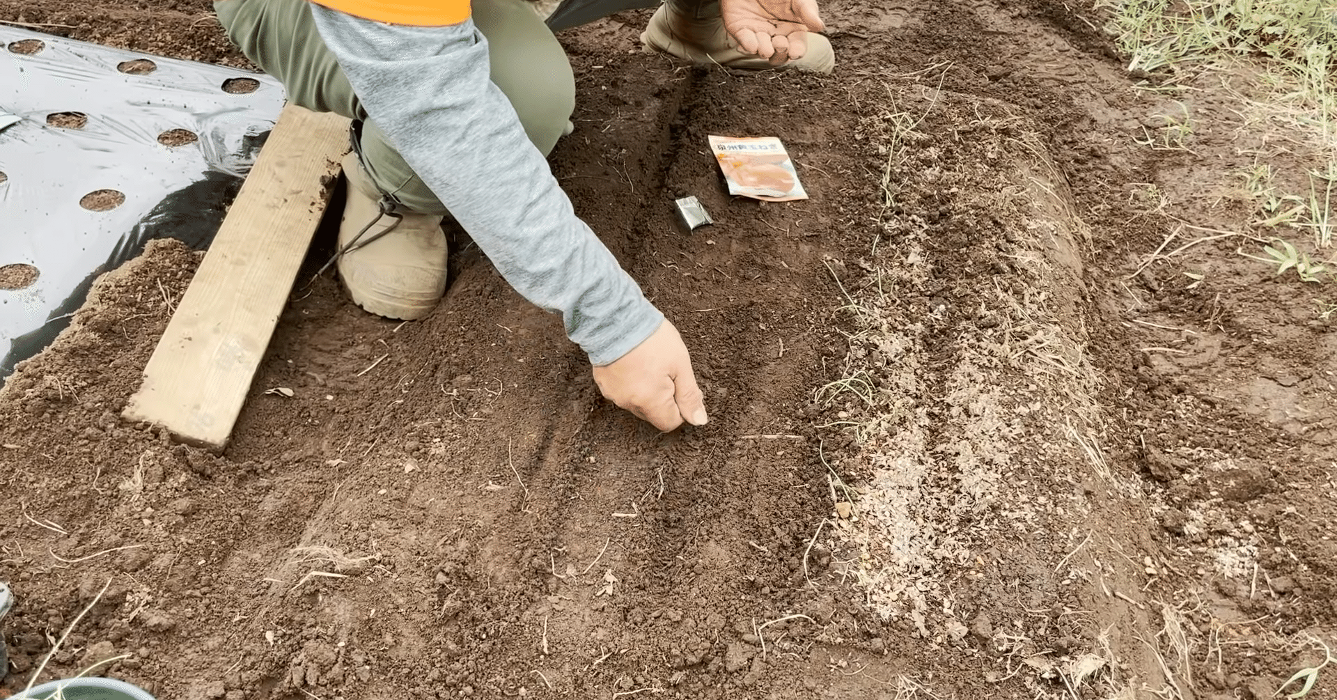 家庭菜園】玉ねぎの種まき方法をご紹介｜井上寅雄農園 / 井上隆太朗