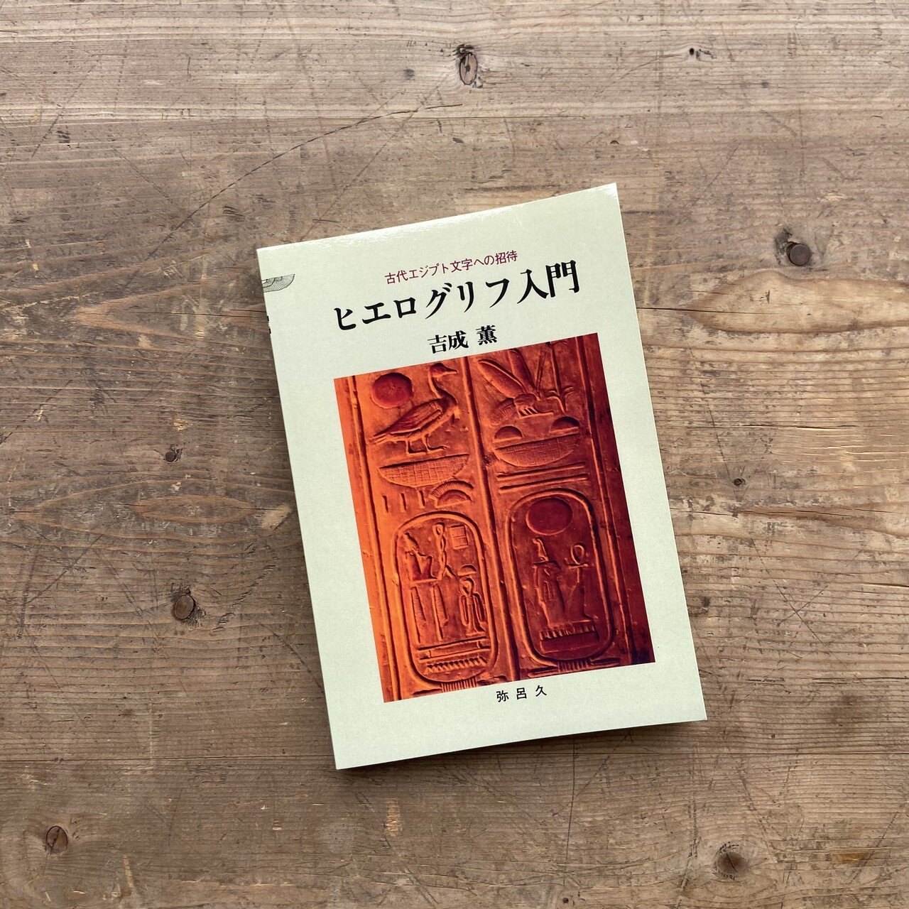 おもしろすぎる大人の自由研究の本」 を部員が選んだら｜手紙社