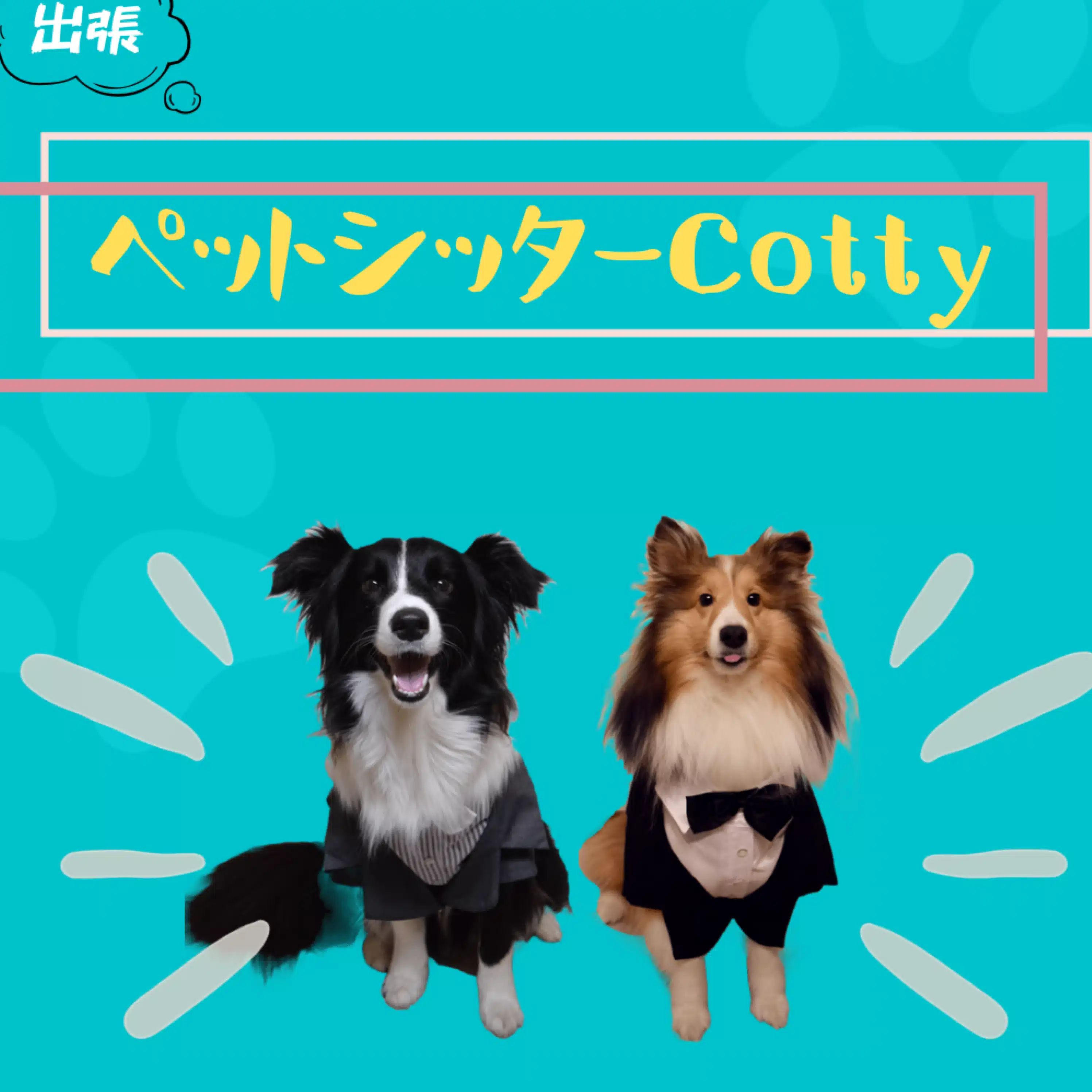 ペットシッターCotty