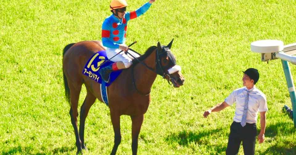 馬神レーシング シルクホースクラブ18年度競走馬命名 馬神 傑 Note