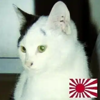 磐田のえいちゃん　自然農は自由だ。