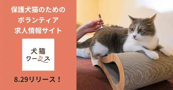 犬猫生活 Amazon | 犬猫生活 キャットフード オールステージ チキン味