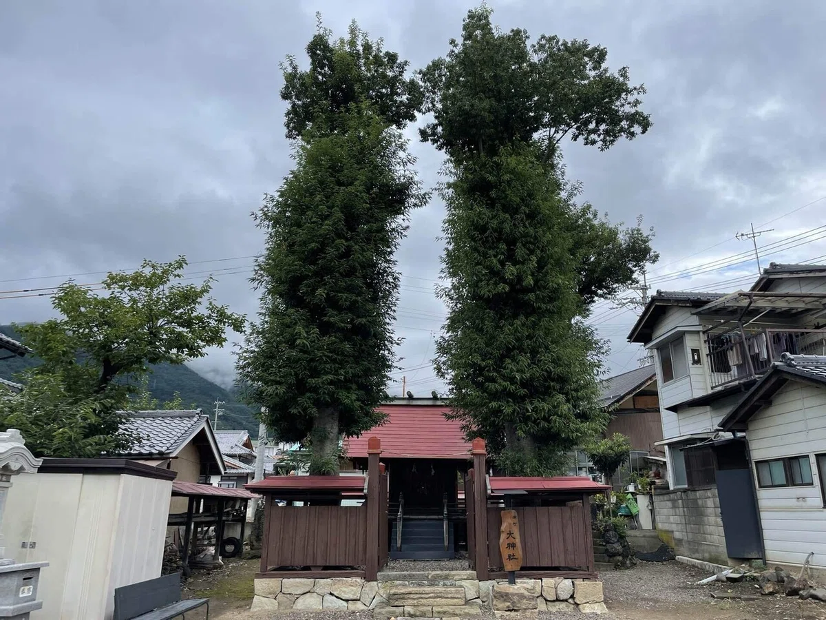 画像