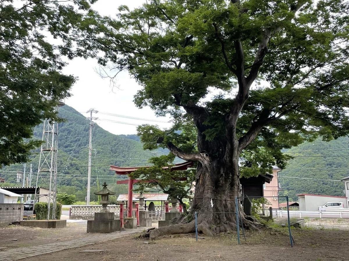 画像