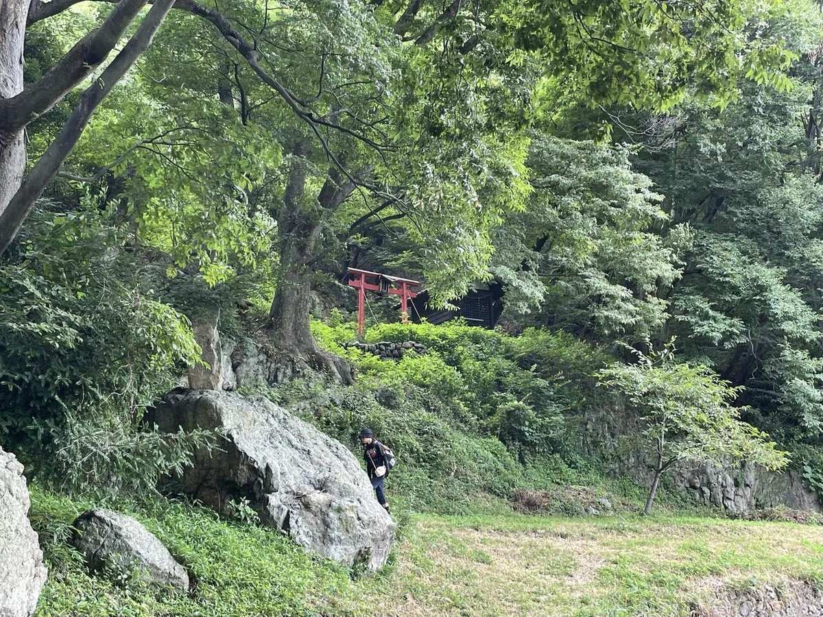画像