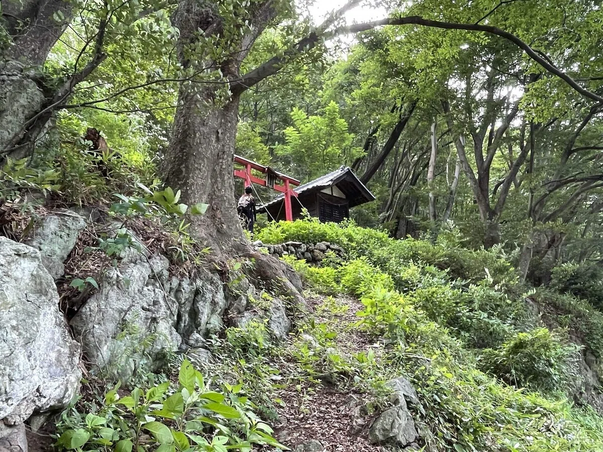 画像