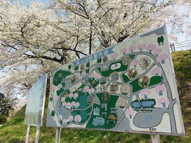 画像71