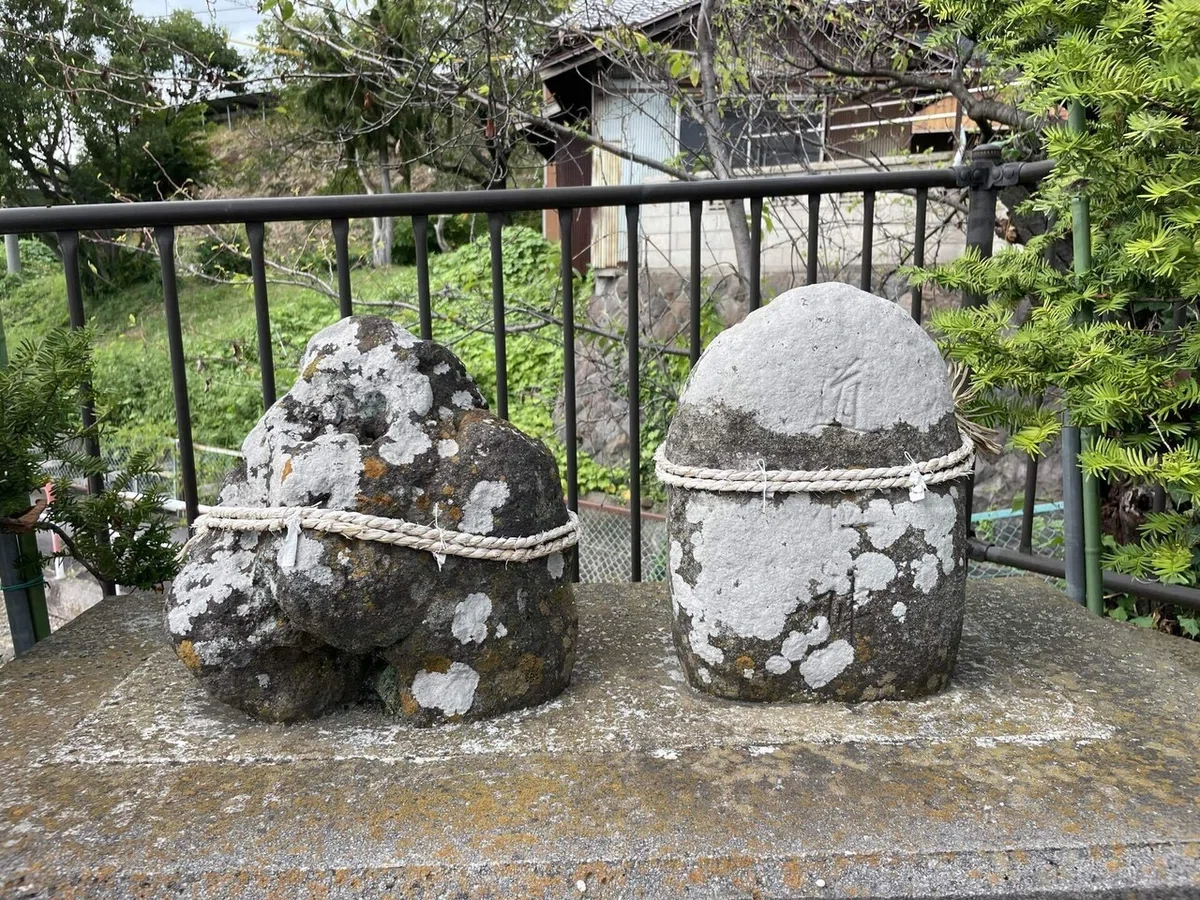 画像