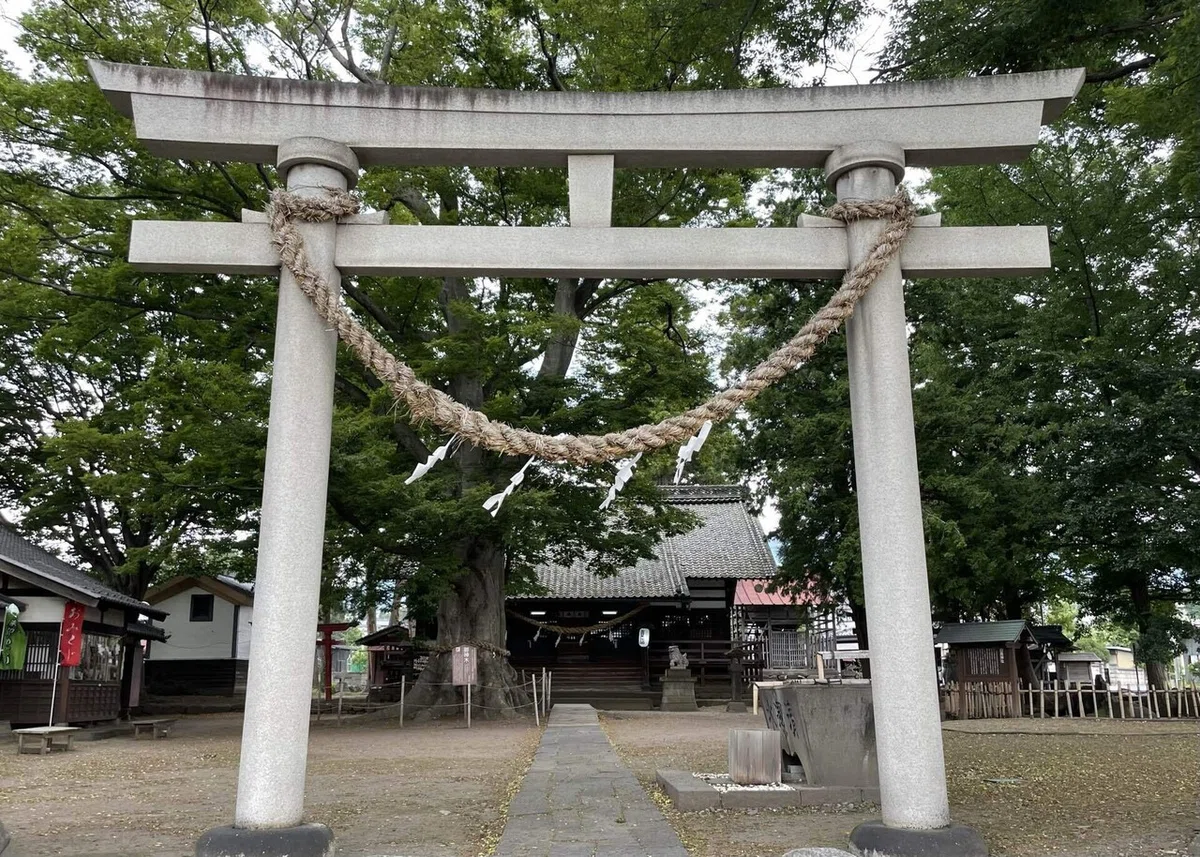画像
