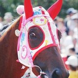 🐴日本競馬についての予想【無料予想】🐴LINEオプチャやDiscordリンクも付ける📌📌