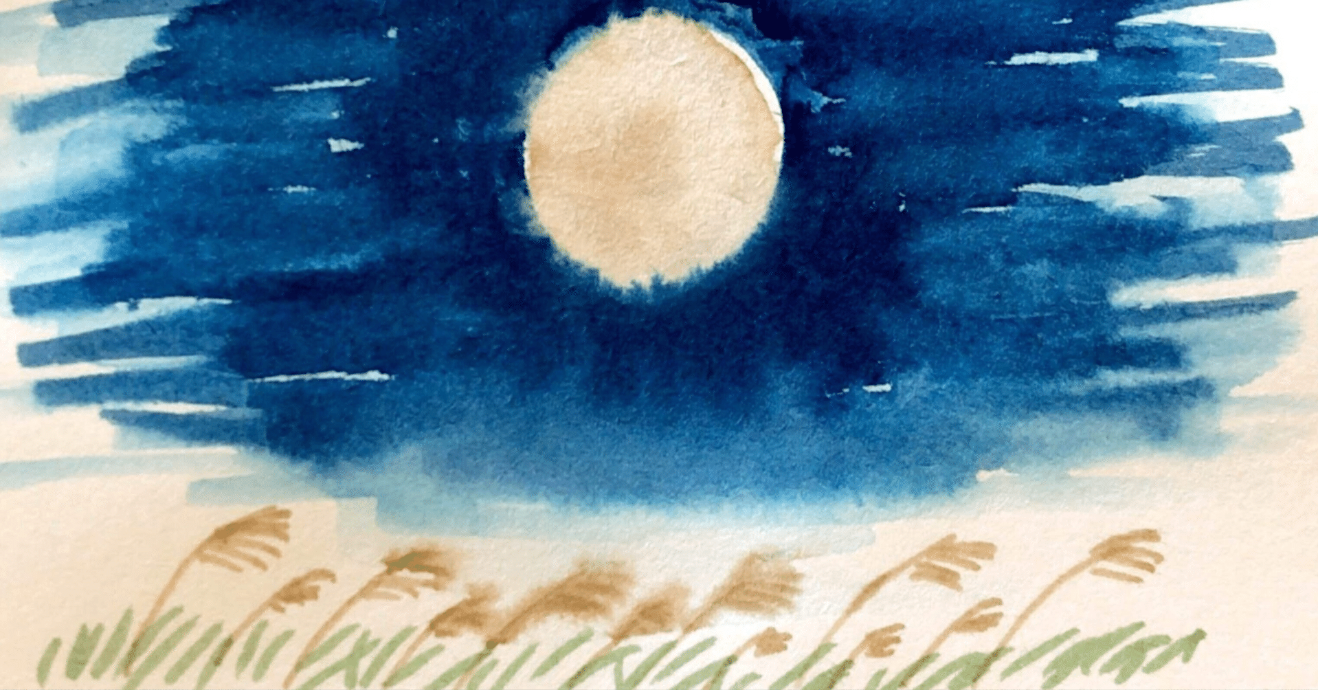 秋の野の花ー9月の十五夜に「ススキ」の穂が見つかるかしら｜haco